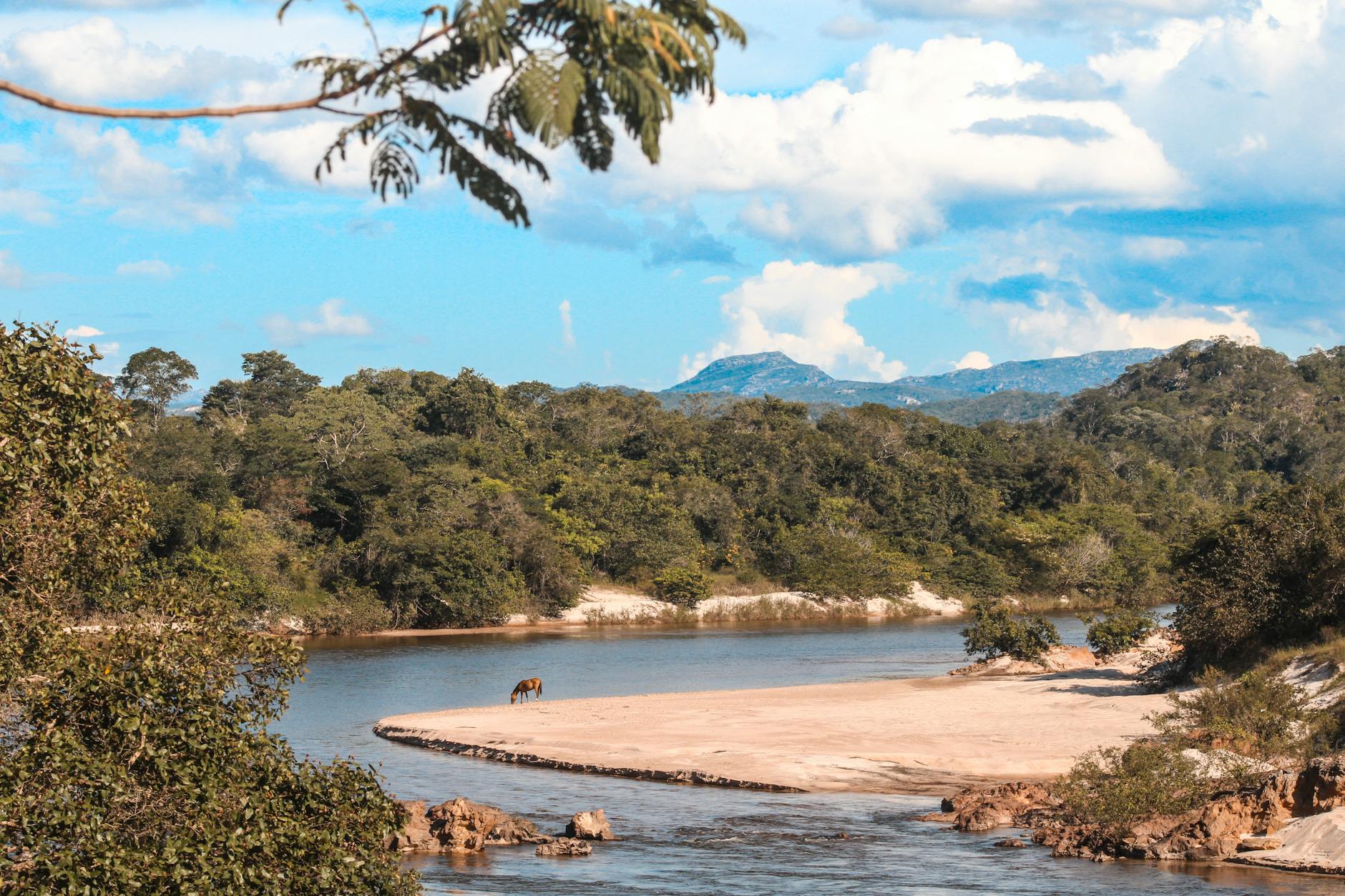 A serene river bend with lush greenery and a horse grazing near Diamantina, Brazil.