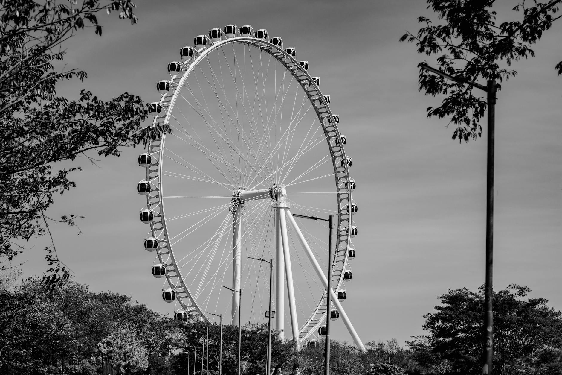 Elegant Ferris wheel in São Paulo captured in monochrome, surrounded by trees.
