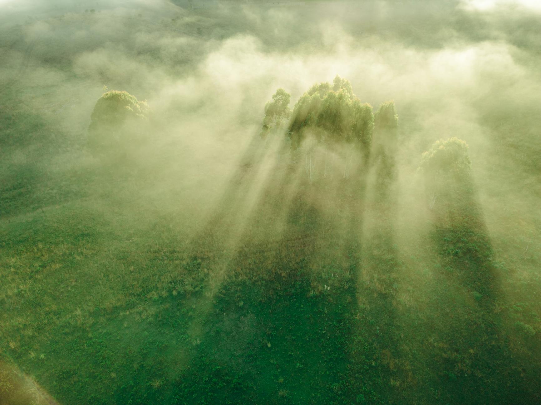 Aerial view of a misty forest with sunbeams in Cambará do Sul, Brazil, creating a mystical landscape.