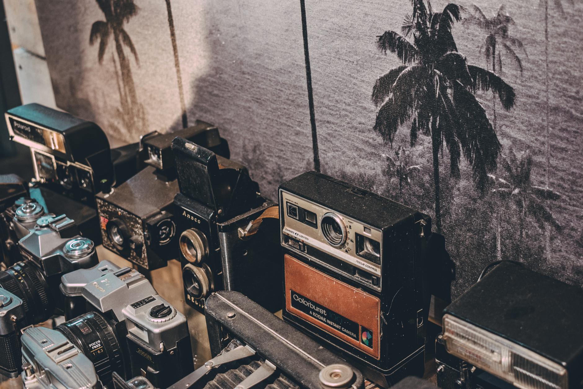 A nostalgic collection of vintage cameras on display. Perfect for photography enthusiasts and collectors.