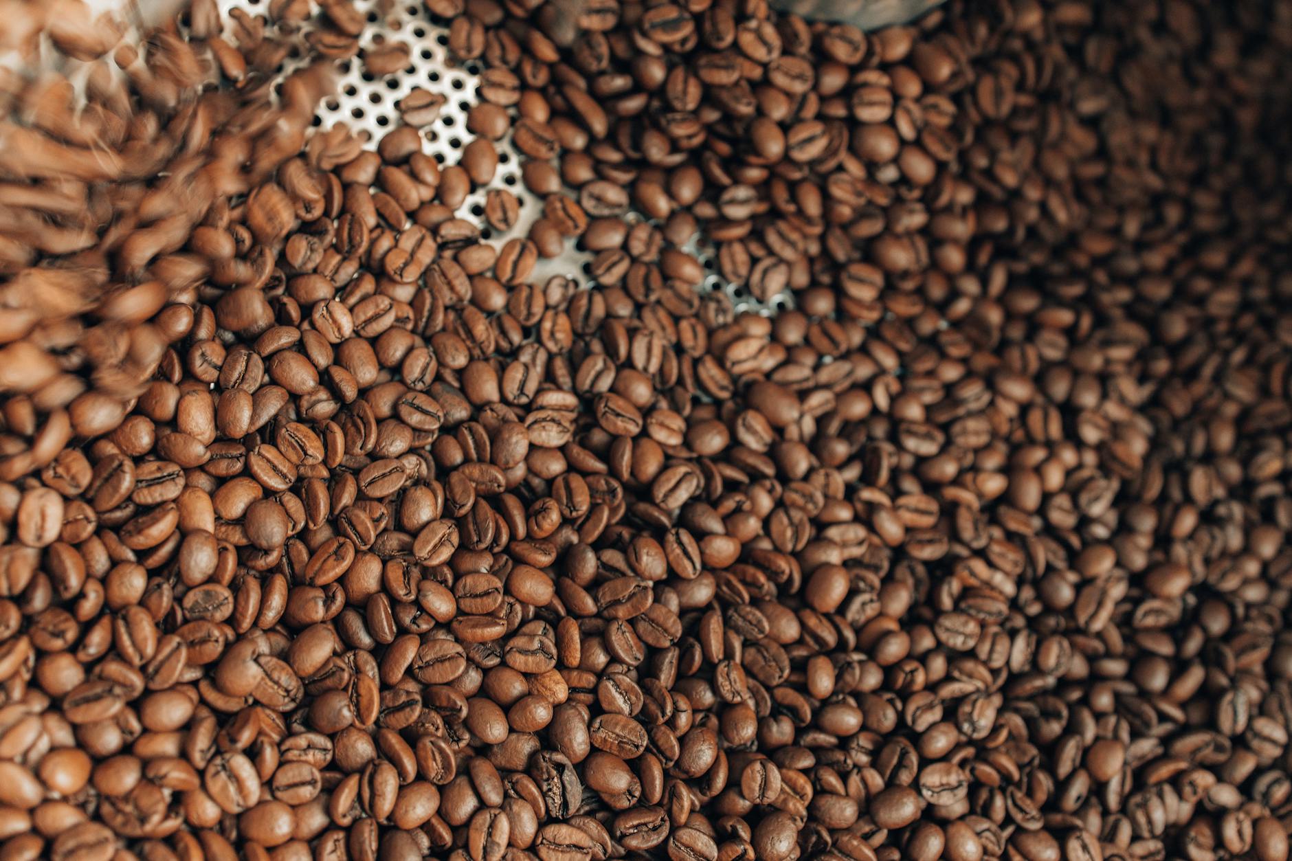A detailed close-up of aromatic roasted coffee beans on a perforated surface.